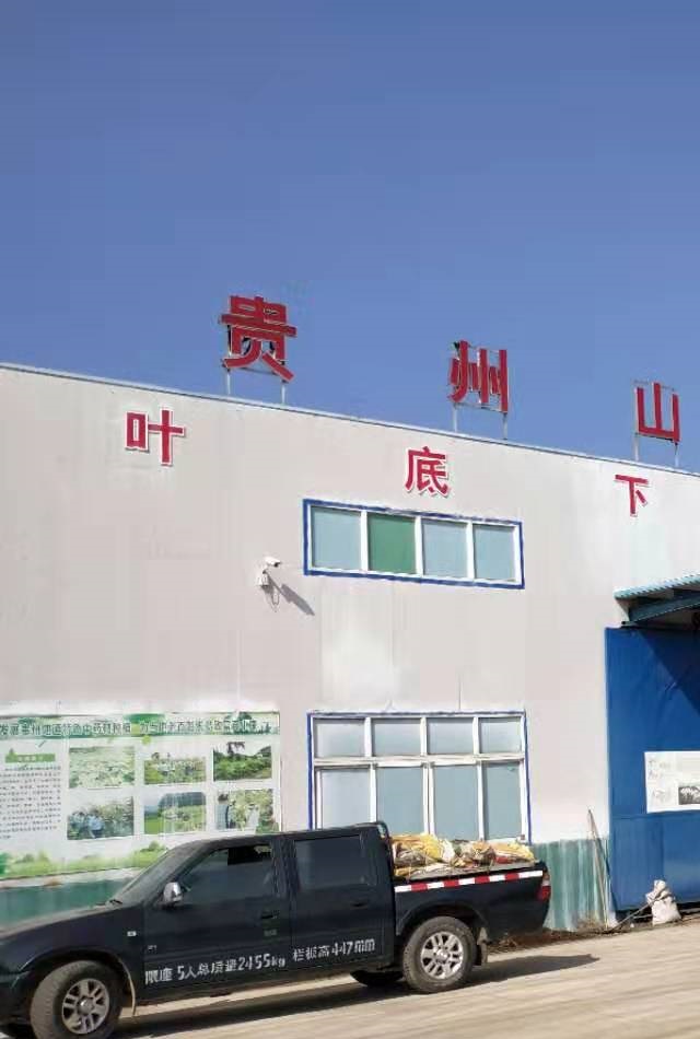 赏金国际官方网站图片
